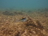 Hawaii_2019_118