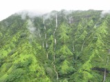 Hawaii_2019_121