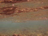 Hawaii_2019_122