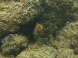 Hawaii_2019_124