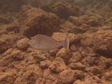 Hawaii_2019_125