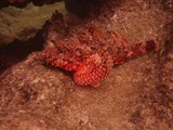 Hawaii_2019_129