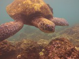 Hawaii_2019_130