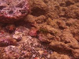 Hawaii_2019_133