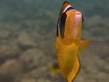 Hawaii_2019_134
