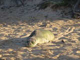 Hawaii_2019_140