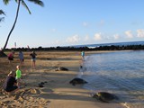 Hawaii_2019_141