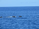 Hawaii_2019_145