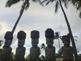 Hawaii_2019_157