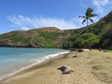 Hawaii_2019_166