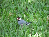 Hawaii_2019_178