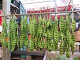 indonesien_017
