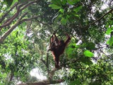 indonesien_030
