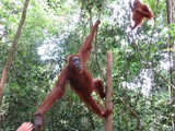 indonesien_031