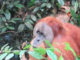 indonesien_035