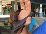 indonesien_037