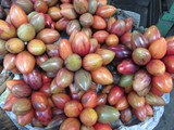 indonesien_040