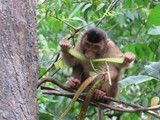 indonesien_054