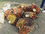 indonesien_058