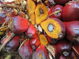 indonesien_059