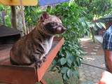 indonesien_065