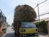indonesien_094
