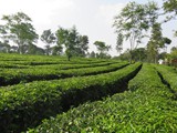 indonesien_097