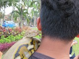 indonesien_101