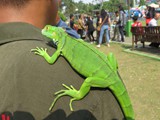 indonesien_102