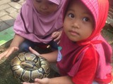 indonesien_103