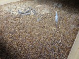 indonesien_106