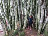 indonesien_139