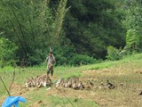 indonesien_161