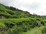 indonesien_167