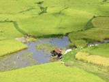 indonesien_168