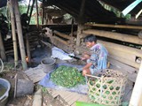 indonesien_170