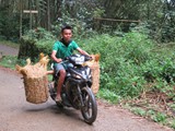 indonesien_172