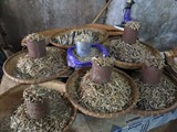 indonesien_174