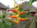 indonesien_179