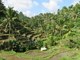 indonesien_197