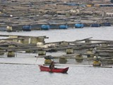 indonesien_207