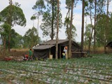indonesien_222