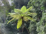 indonesien_245