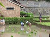 indonesien_279