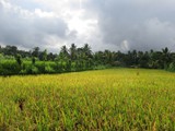 indonesien_281