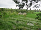indonesien_283