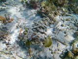 indonesien_304