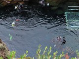 island_014