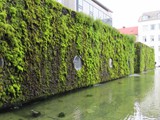 island_074