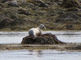 island_098